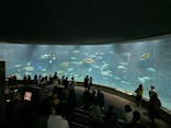 葛西臨海水族園に投稿された画像（2024/9/4）