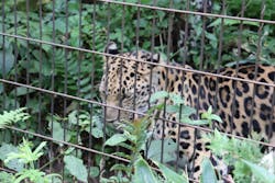 よこはま動物園ズーラシアに投稿された画像（2024/9/4）