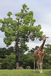 よこはま動物園ズーラシアに投稿された画像（2024/9/4）