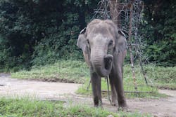 よこはま動物園ズーラシアに投稿された画像（2024/9/4）