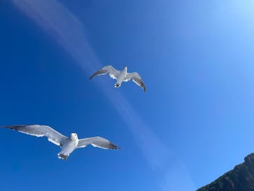 プロロマリンに投稿された画像（2024/9/4）