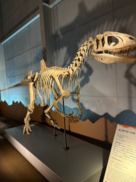 巨大恐竜展2024に投稿された画像（2024/9/4）