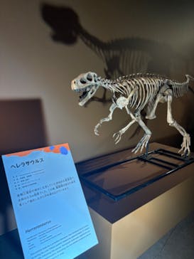 巨大恐竜展2024に投稿された画像（2024/9/4）