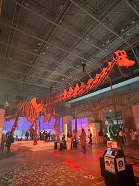 巨大恐竜展2024に投稿された画像（2024/9/4）