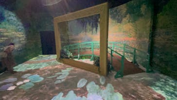 モネ＆フレンズ・アライブに投稿された画像（2024/9/4）