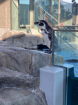 AQUARIUM × ART　atoaに投稿された画像（2024/9/4）