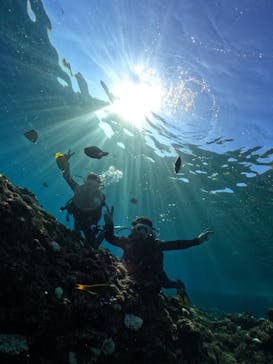 武藤潜水に投稿された画像（2024/9/5）