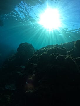 武藤潜水に投稿された画像（2024/9/5）