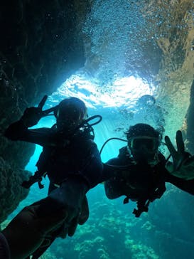 武藤潜水に投稿された画像（2024/9/5）