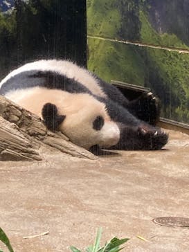 恩賜上野動物園に投稿された画像（2024/9/5）
