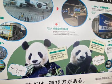 恩賜上野動物園に投稿された画像（2024/9/5）