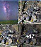 西表島 ADVENTURE PiPi（アドベンチャーピピ）に投稿された画像（2024/9/5）