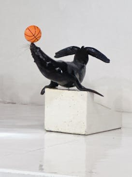 登別マリンパークニクスに投稿された画像（2024/9/5）