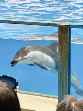 登別マリンパークニクスに投稿された画像（2024/9/5）