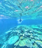 西表島 ADVENTURE PiPi（アドベンチャーピピ）に投稿された画像（2024/9/5）