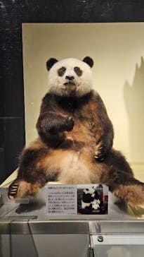 国立科学博物館に投稿された画像（2024/9/5）