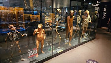 国立科学博物館に投稿された画像（2024/9/5）