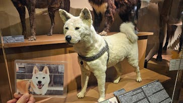 国立科学博物館に投稿された画像（2024/9/5）