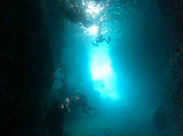 武藤潜水に投稿された画像（2024/9/5）