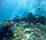 武藤潜水に投稿された画像（2024/9/5）