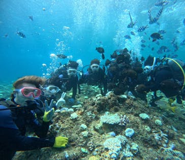 武藤潜水に投稿された画像（2024/9/5）