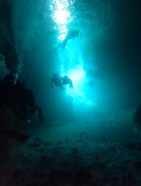 武藤潜水に投稿された画像（2024/9/5）