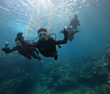 武藤潜水に投稿された画像（2024/9/5）