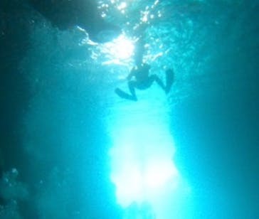 武藤潜水に投稿された画像（2024/9/5）