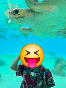 沖縄美ら海水族館に投稿された画像（2024/9/5）