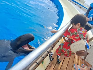 沖縄美ら海水族館に投稿された画像（2024/9/5）