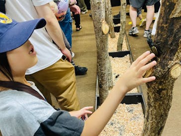 JOYPOLIS 特別イベントスペースに投稿された画像（2024/9/5）