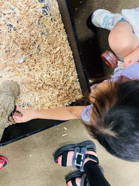 JOYPOLIS 特別イベントスペースに投稿された画像（2024/9/5）