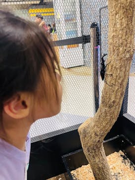 JOYPOLIS 特別イベントスペースに投稿された画像（2024/9/5）