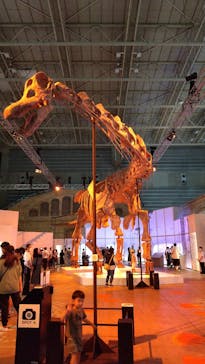 巨大恐竜展2024に投稿された画像（2024/9/5）
