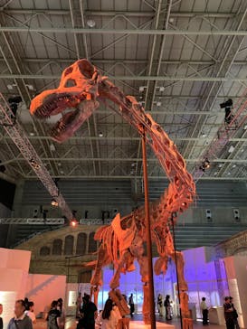 巨大恐竜展2024に投稿された画像（2024/9/5）