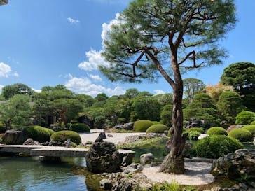 足立美術館に投稿された画像（2024/9/5）