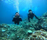 武藤潜水に投稿された画像（2024/9/5）