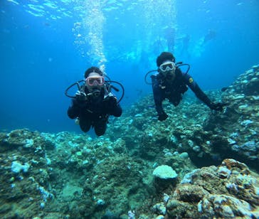 武藤潜水に投稿された画像（2024/9/5）