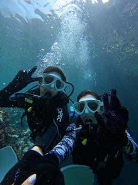 沖縄マリンサービス碧に投稿された画像（2024/9/5）