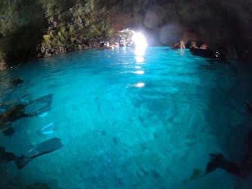 武藤潜水に投稿された画像（2024/9/5）