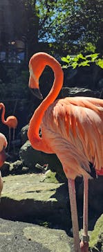 伊豆シャボテン動物公園に投稿された画像（2024/9/5）