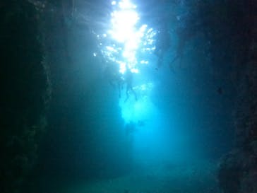 武藤潜水に投稿された画像（2024/9/5）