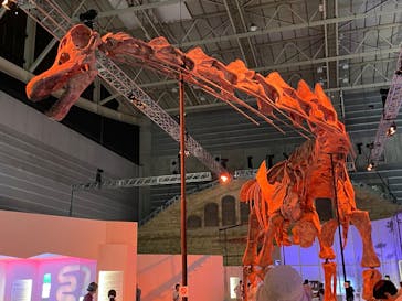巨大恐竜展2024に投稿された画像（2024/9/5）