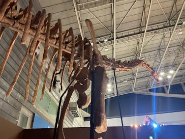 巨大恐竜展2024に投稿された画像（2024/9/5）