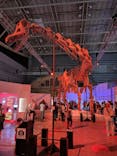 巨大恐竜展2024に投稿された画像（2024/9/5）