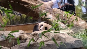 恩賜上野動物園に投稿された画像（2024/9/5）