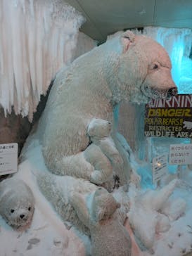 渋川スカイランドパークに投稿された画像（2024/9/5）