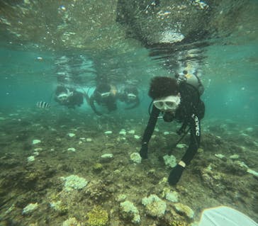 沖縄マリンサービス碧に投稿された画像（2024/9/5）