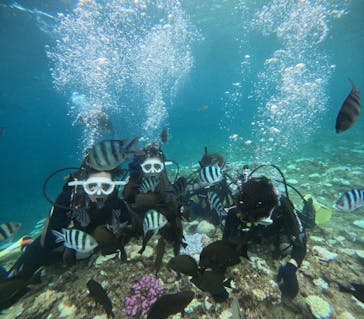 沖縄マリンサービス碧に投稿された画像（2024/9/5）