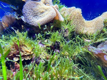 名古屋港水族館に投稿された画像（2024/9/5）